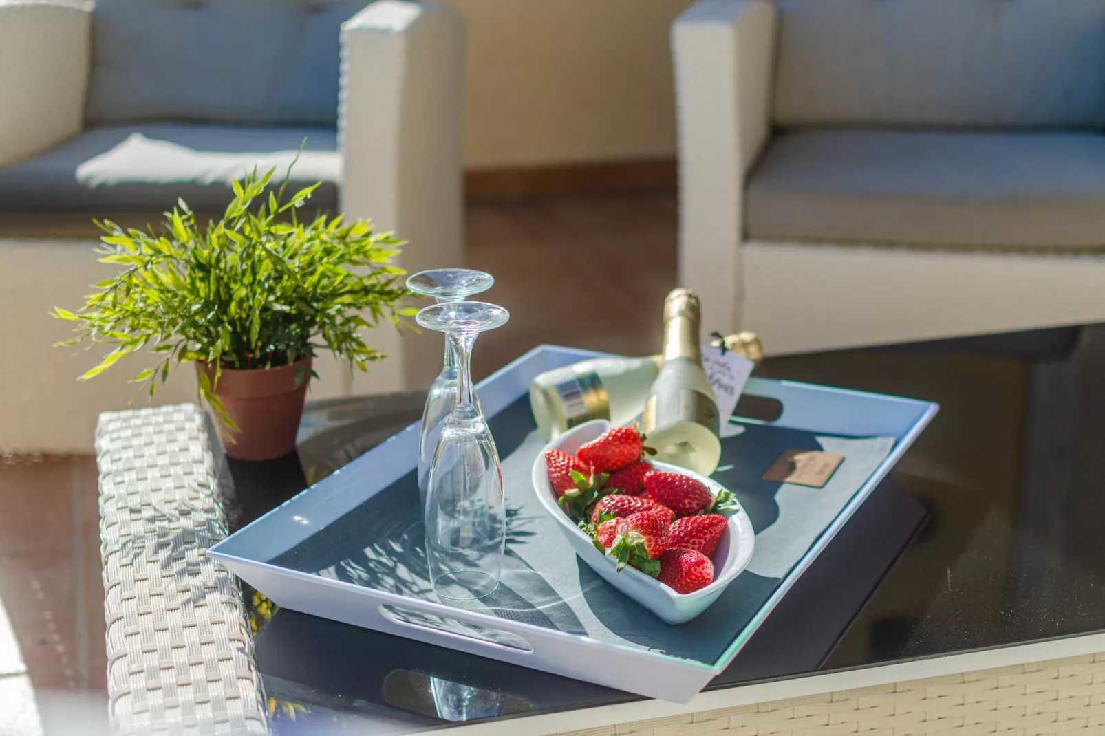 YourHouse Can Ines-Ambiente