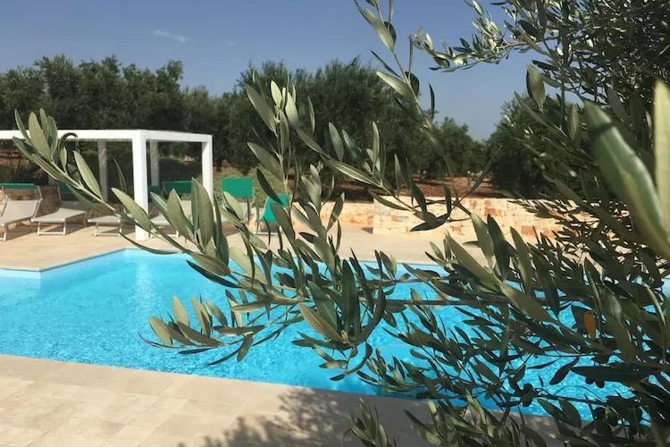 Trullo Amato Cisternino - 10426947
