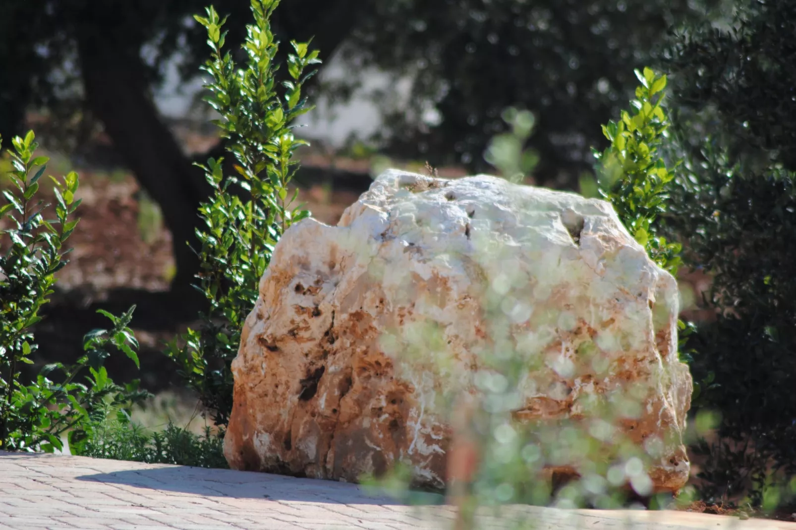 Trullo Rosa Ostuni-Atmosphere