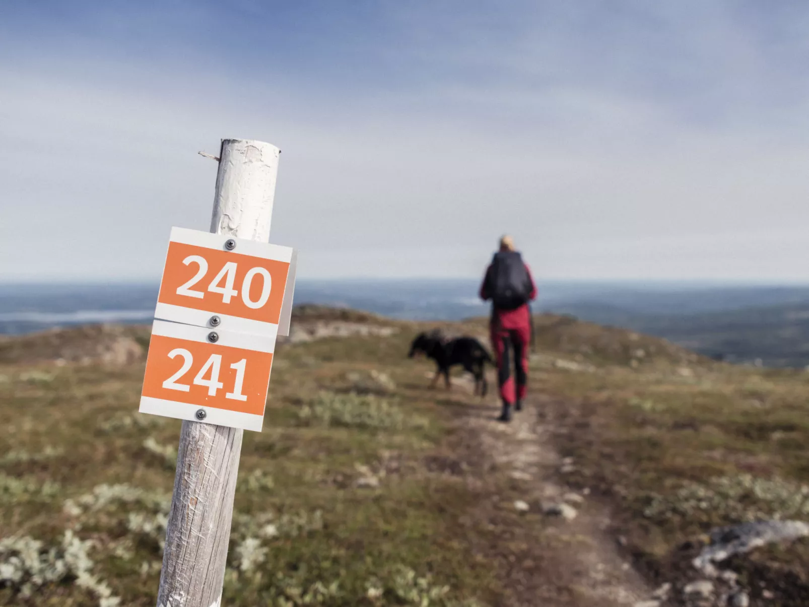 Trillevallen 1 - 10522401