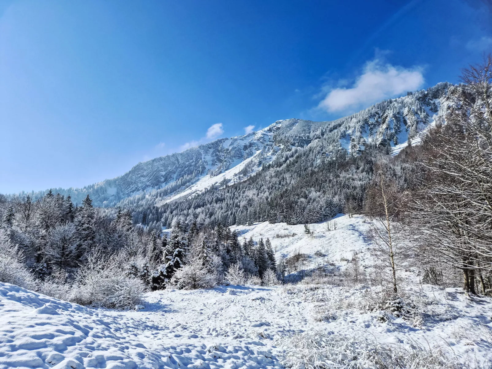 Tiny-Haus Glockenalm-Alpenchalet Elli-Draußen