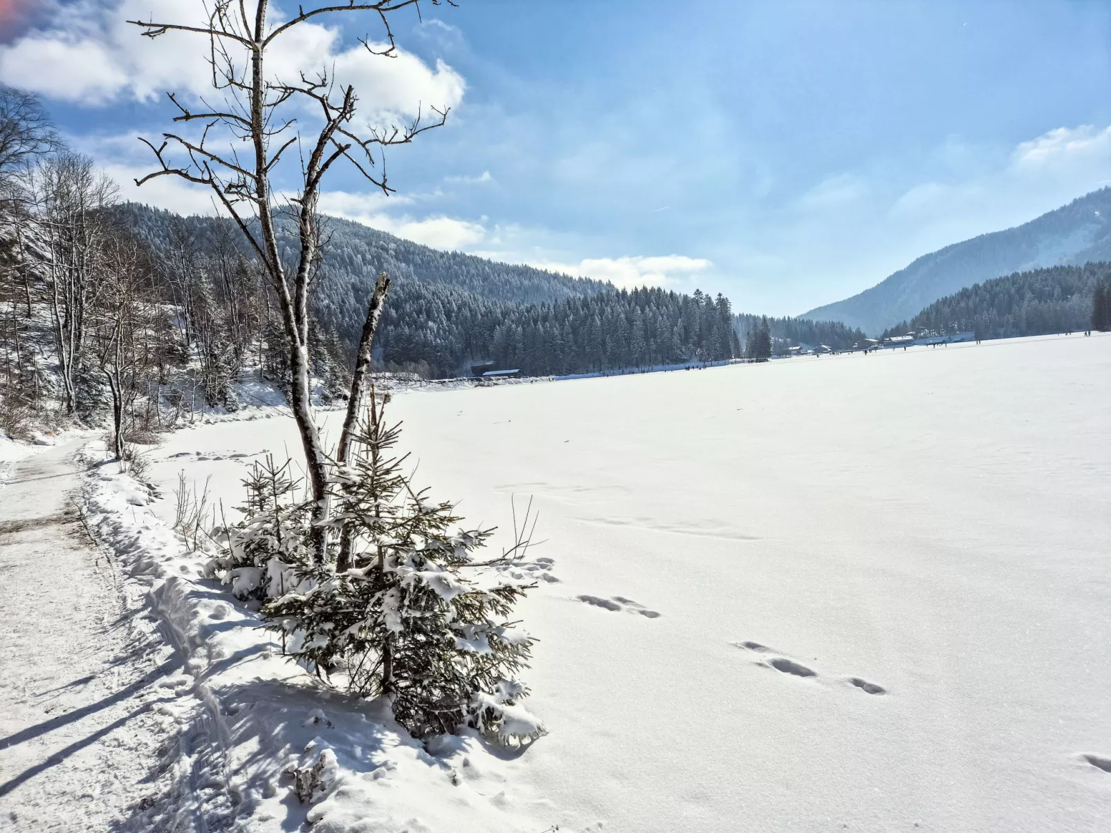 Tiny-Haus Glockenalm-Alpenchalet Elli-Draußen