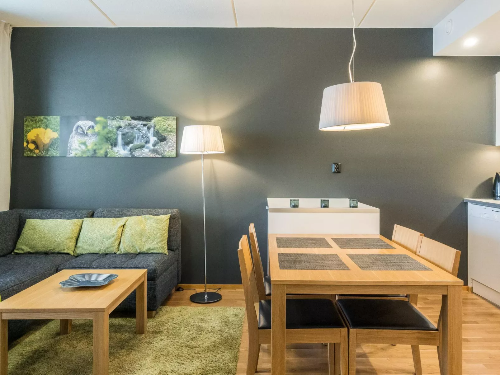 Levi chalet 1602-Dedans