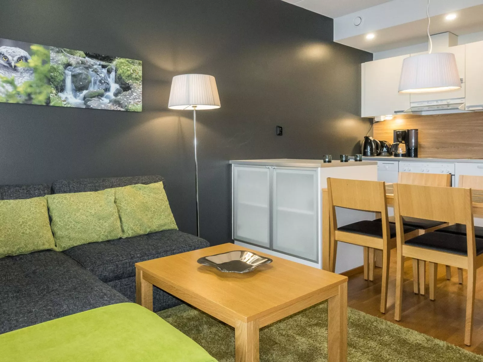 Levi chalet 1602-Dedans