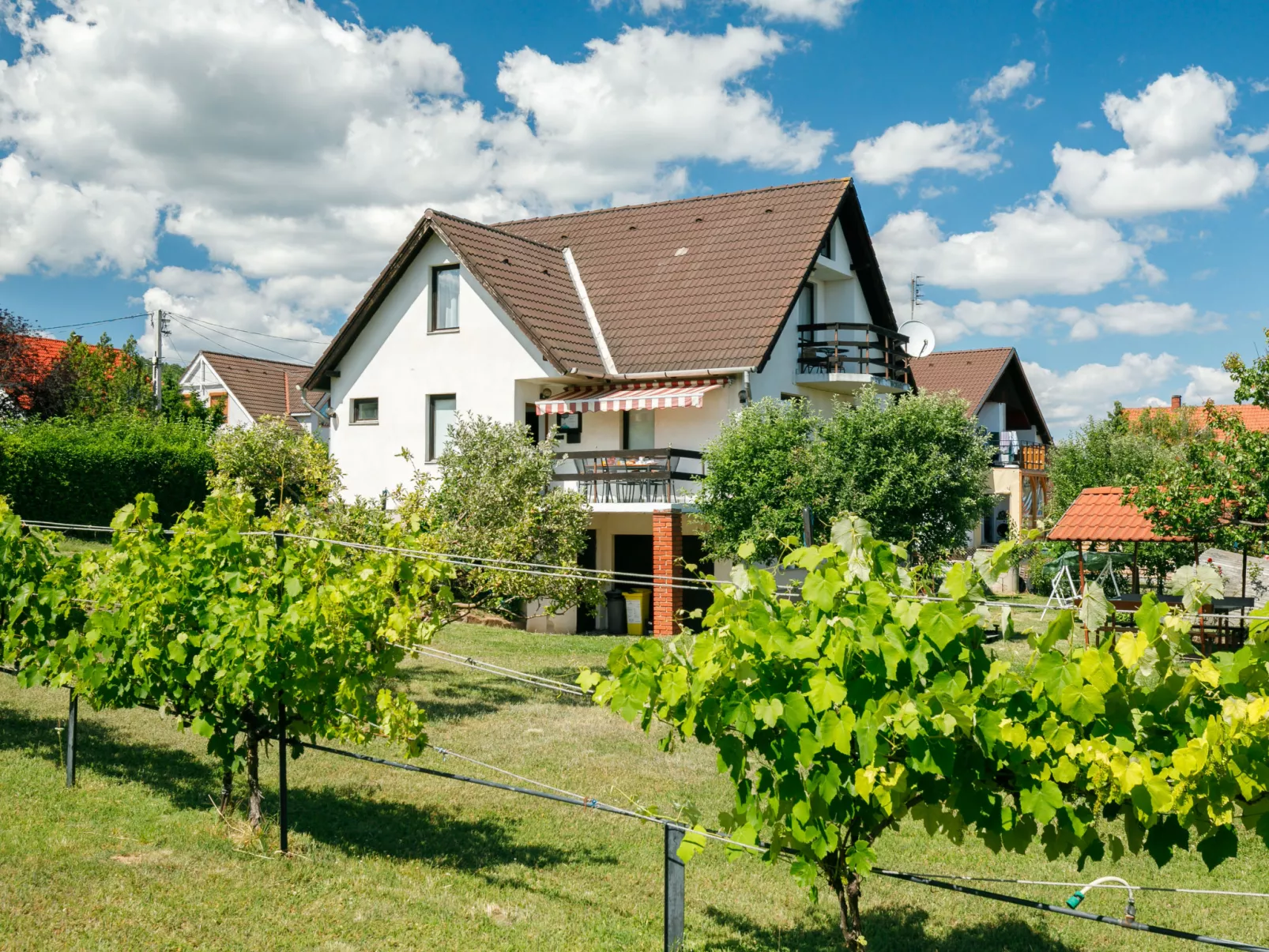 Antal-Draußen