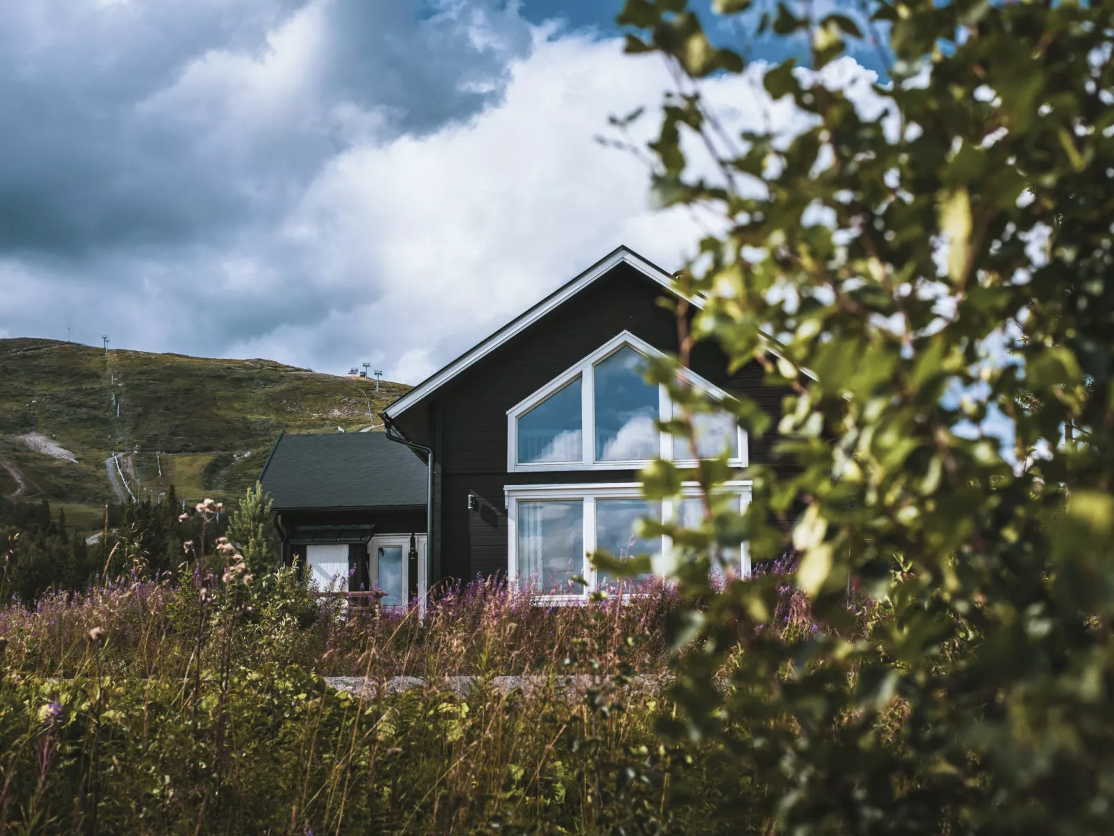 Trillevallen Fjällripan - 10429460