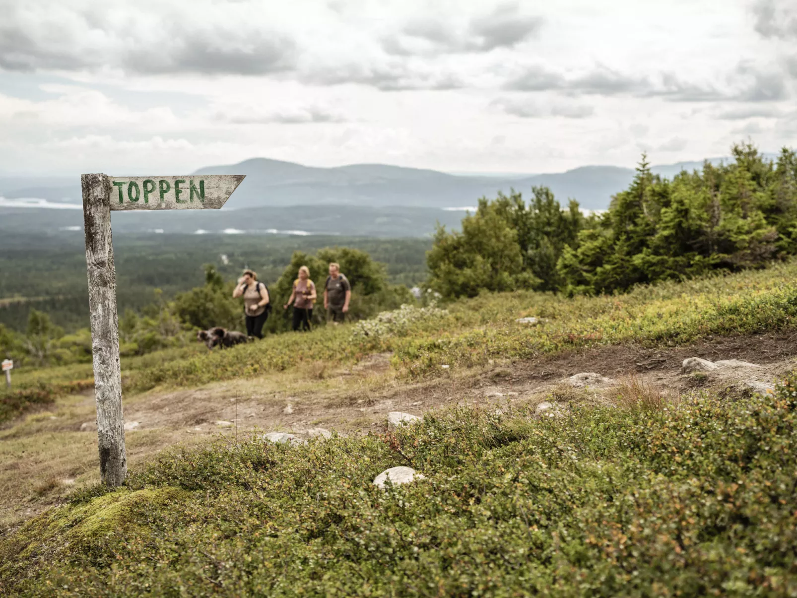 Trillevallen Fjällripan-Area