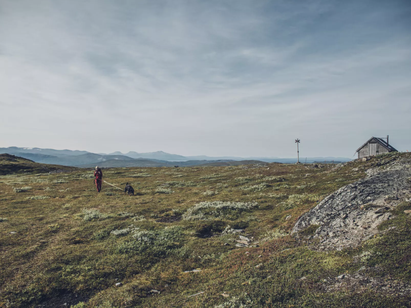 Trillevallen Fjällripan-Area