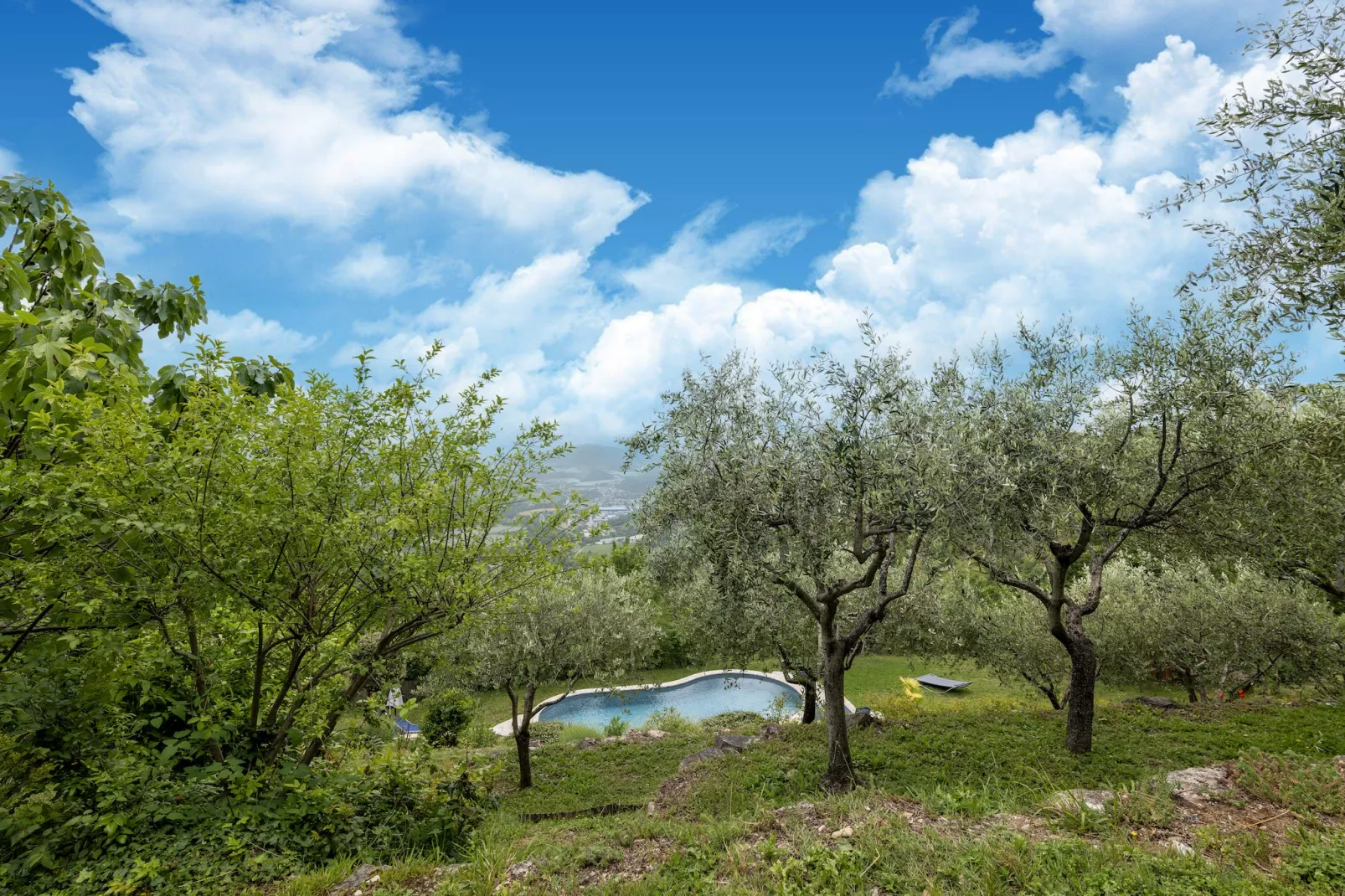 Il Conio Ginestra-View summer