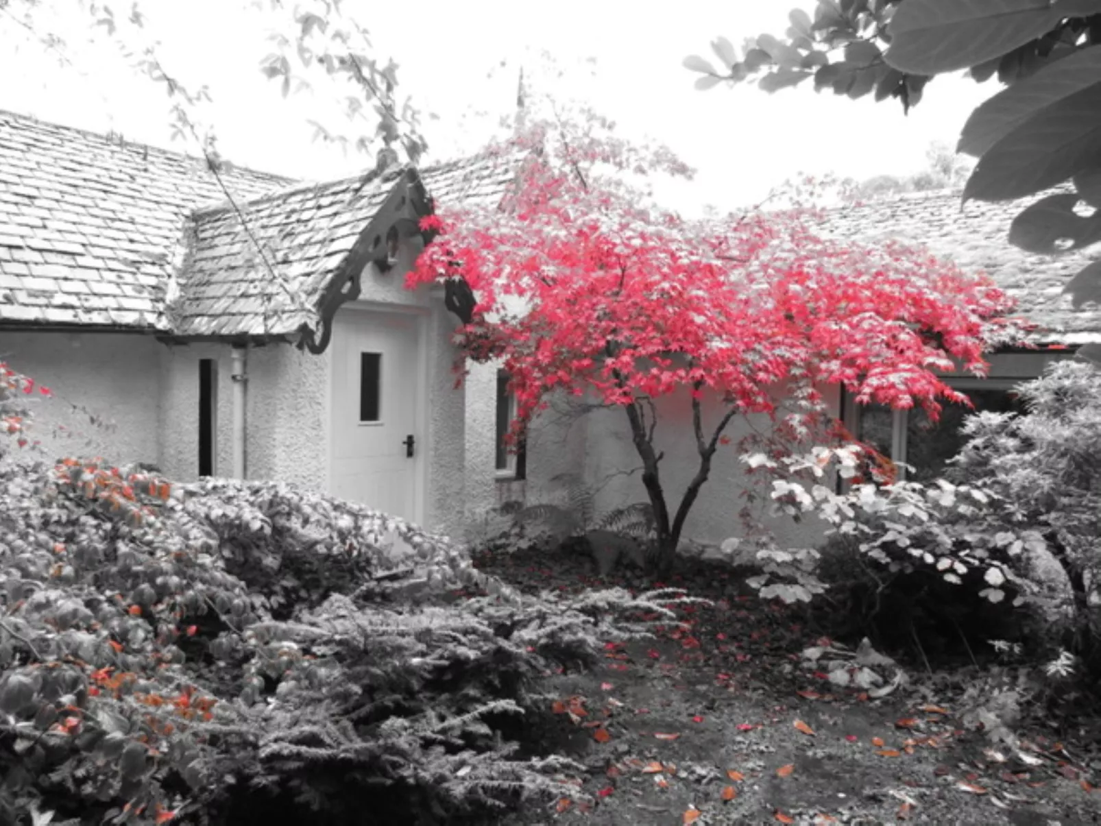 Dhivach Lodge-Outside