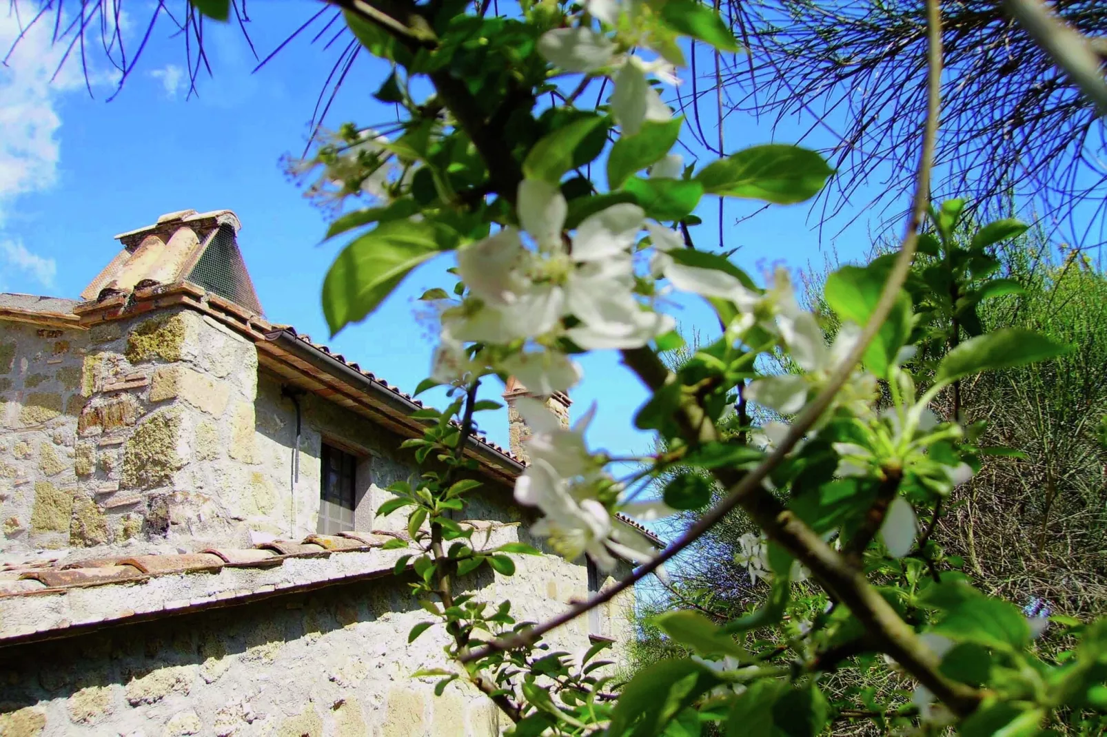 Villa Felce-Atmosphere