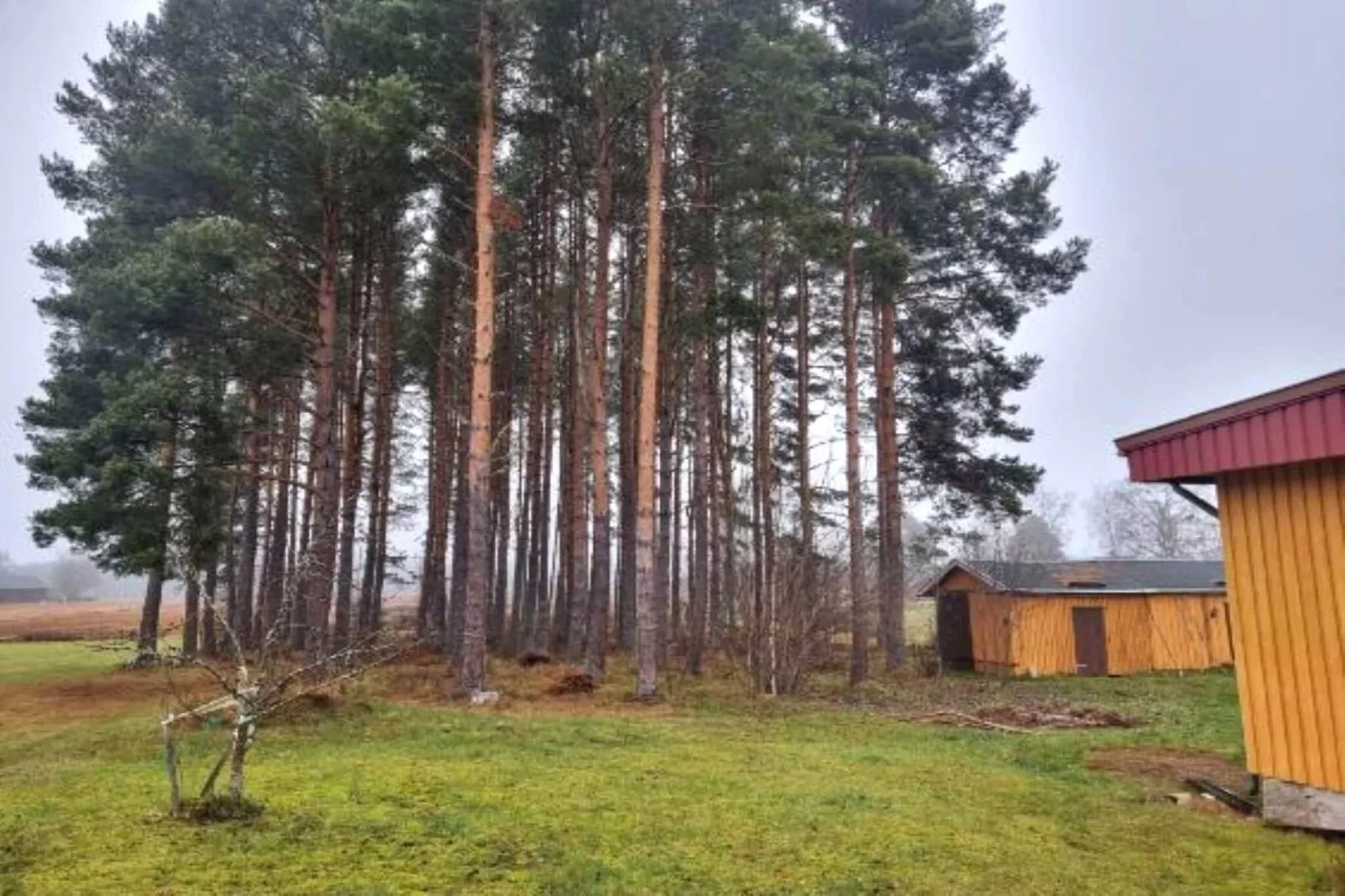5 person holiday home in Dala-Järna