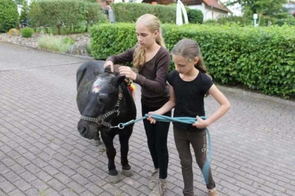 415295-Nicht getaggt