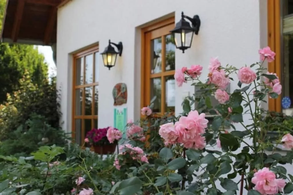 415295-Nicht getaggt