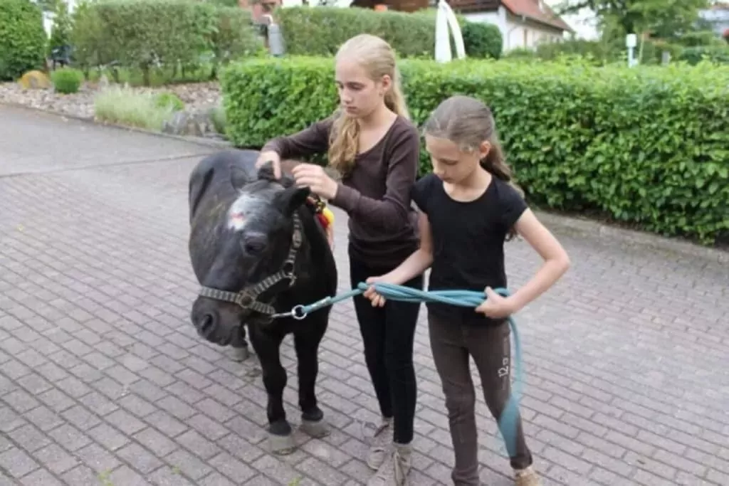 415356-Nicht getaggt