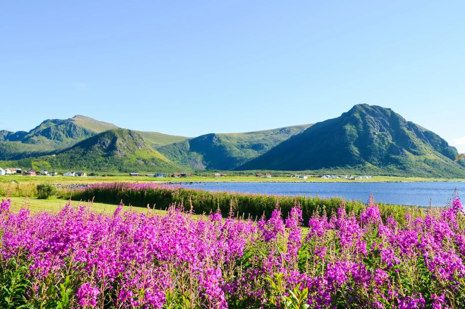 4 person holiday home in ALSVÅG-Not tagged