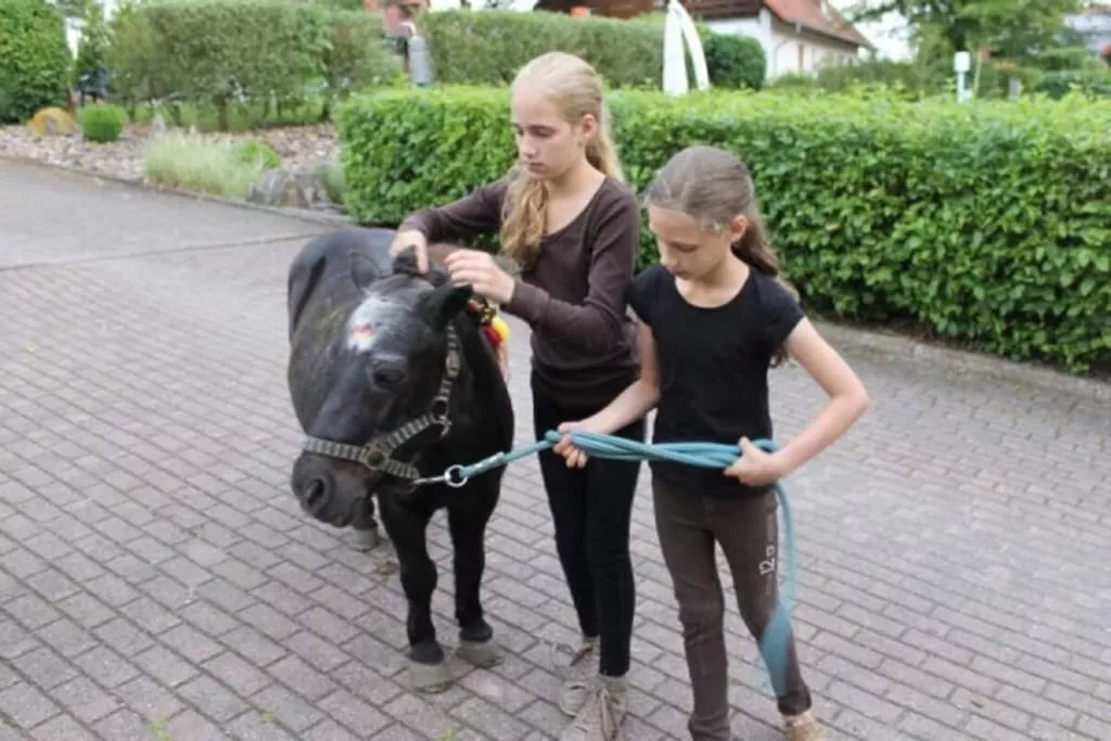 415387-Nicht getaggt