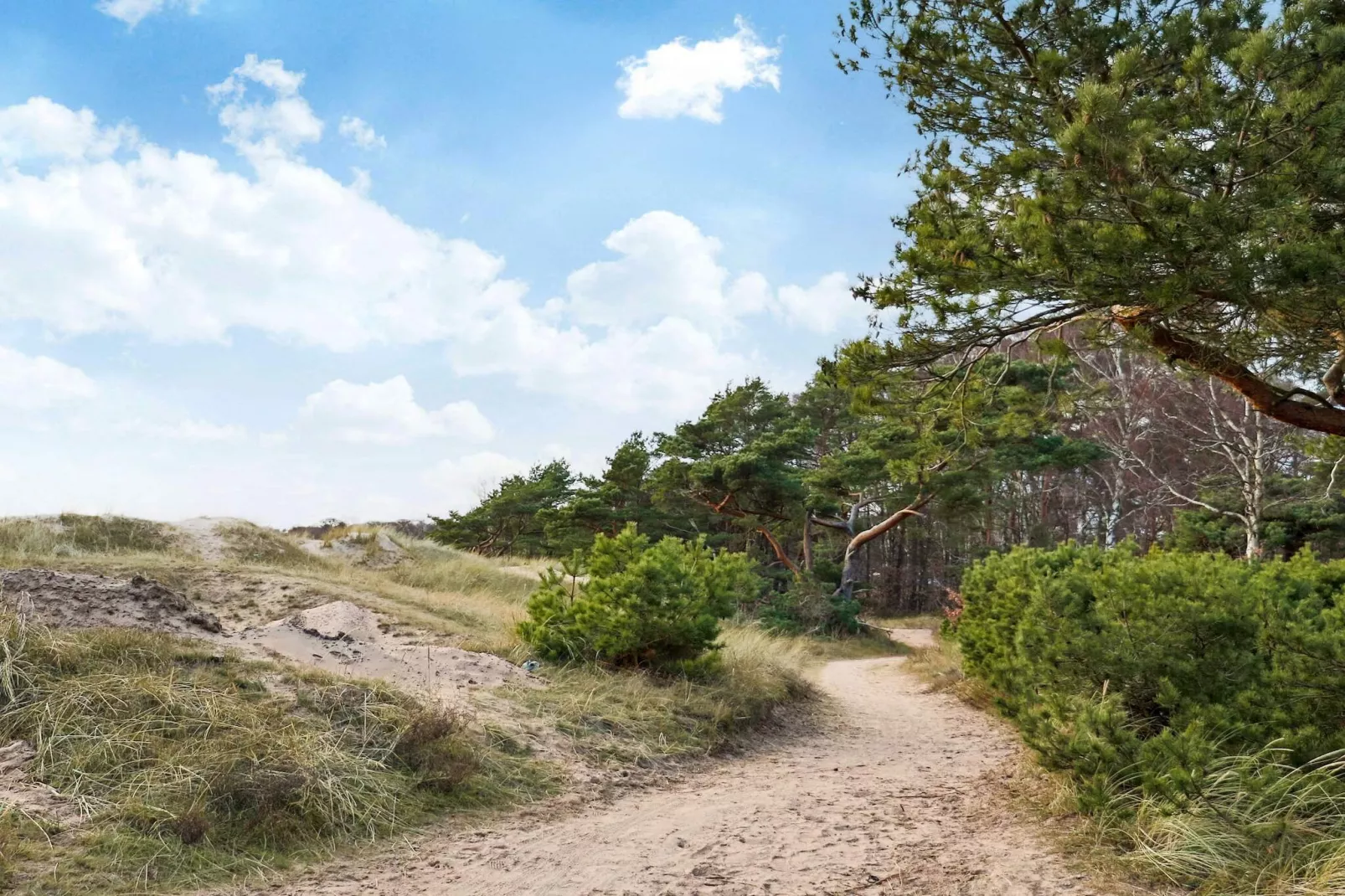 4 Sterne Ferienhaus in Halmstad-Nicht getaggt