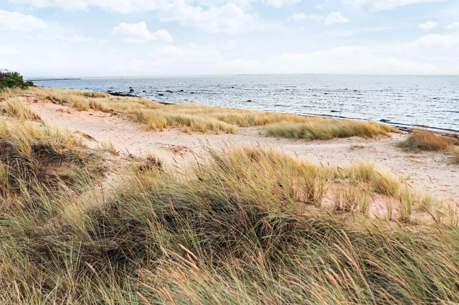 4 Sterne Ferienhaus in Halmstad-Nicht getaggt