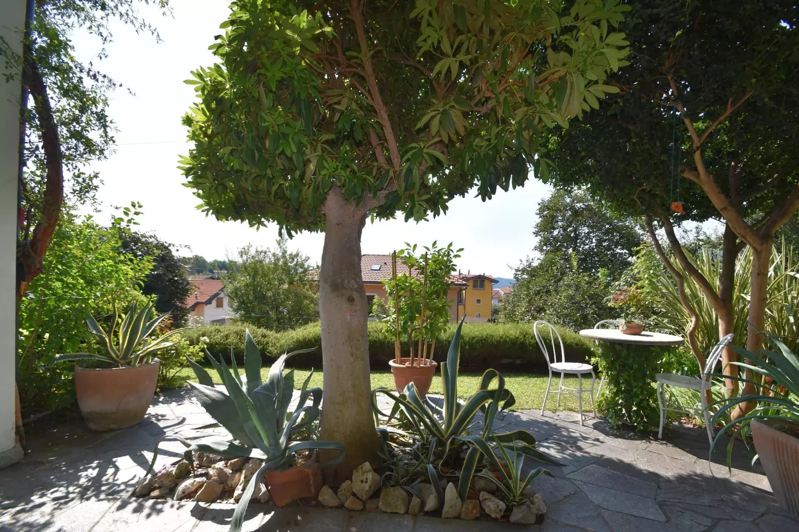 Casa Susanna-Gardens summer