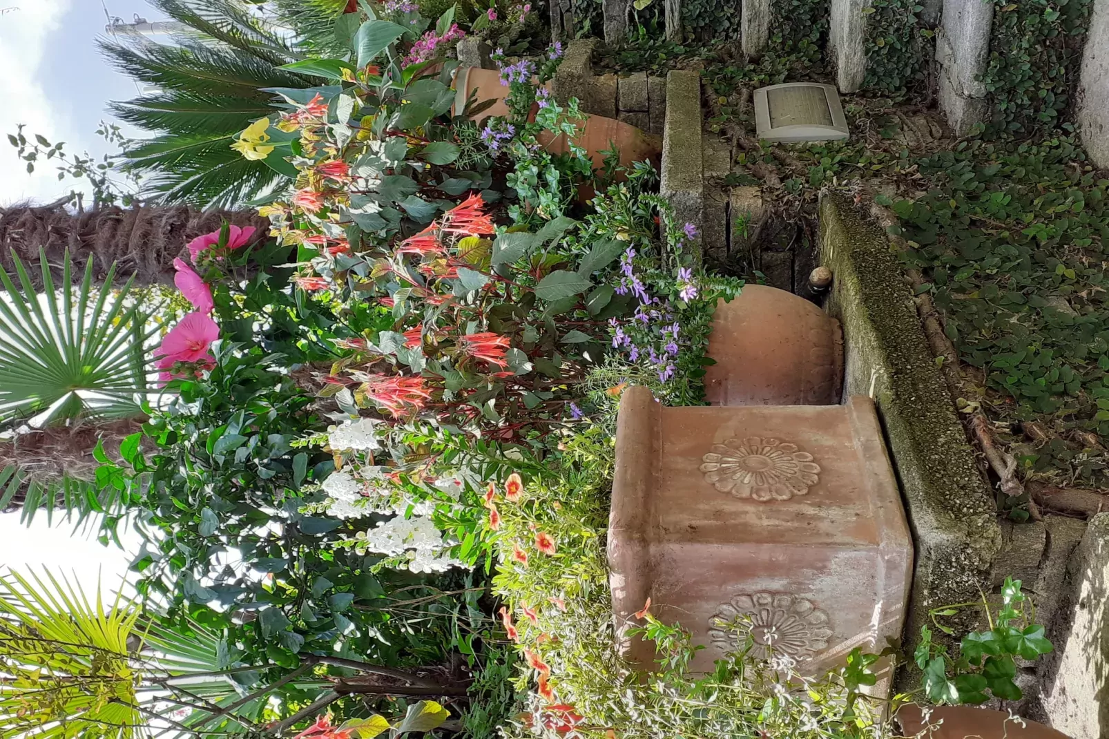 Casa Susanna-Gardens summer