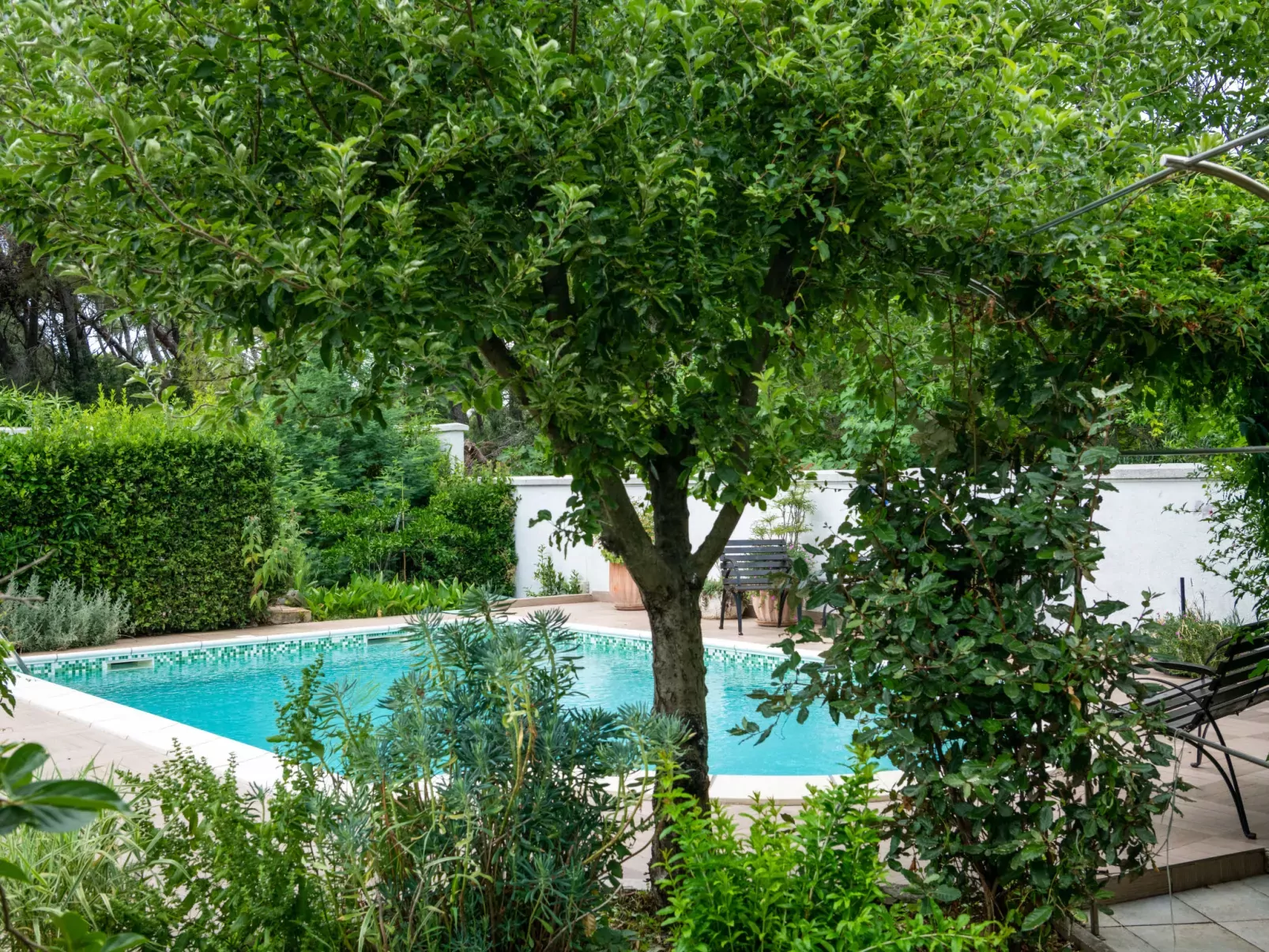 Villa Irma-Outside