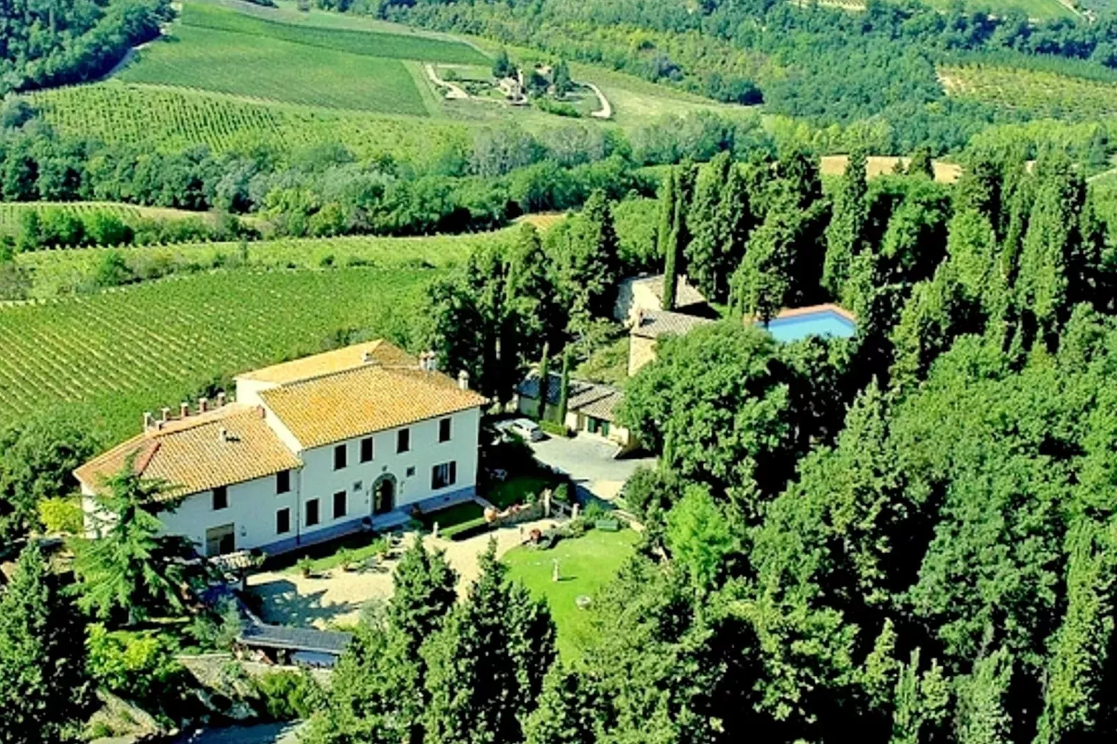 Rosa-Exterior in summer