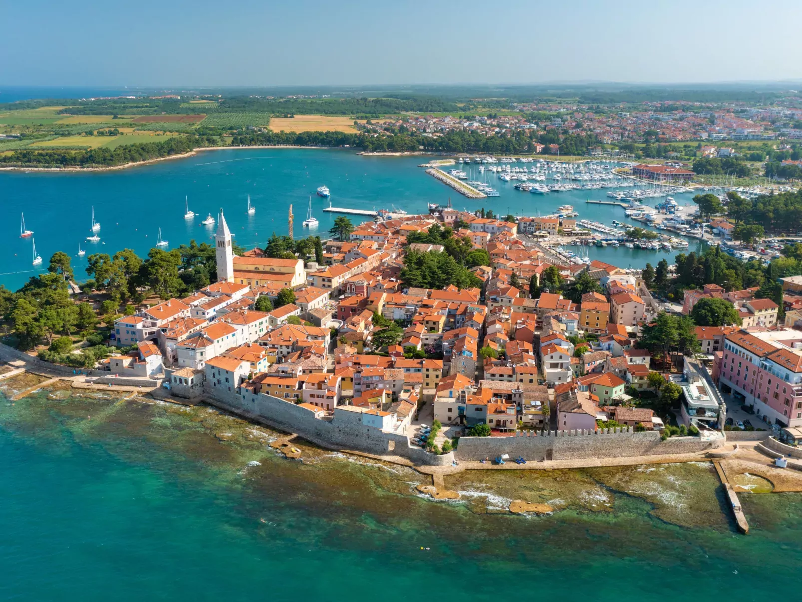Bianca-Area