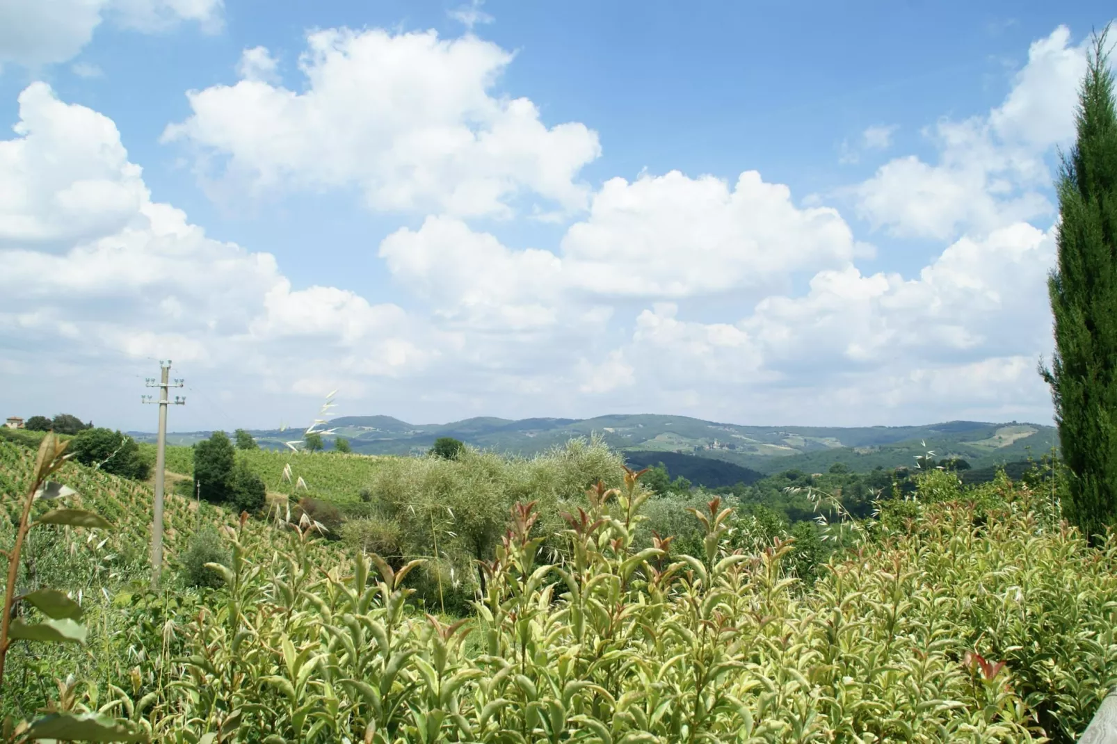Chianti Village Morrocco B2-View summer