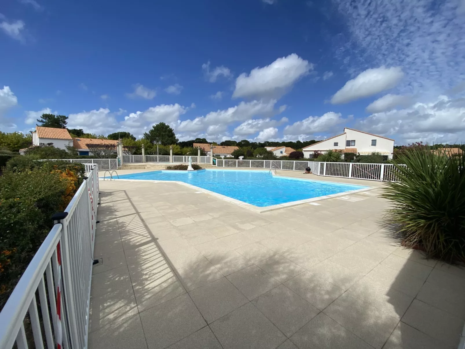 Bois Soleil - 10574609