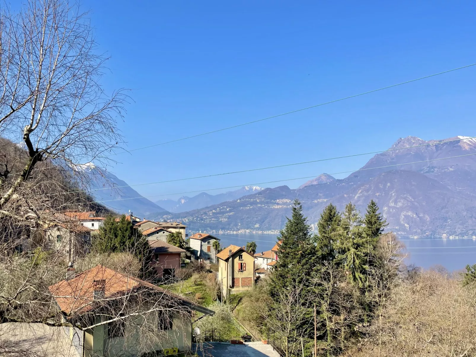 Nel Castagneto-Dehors