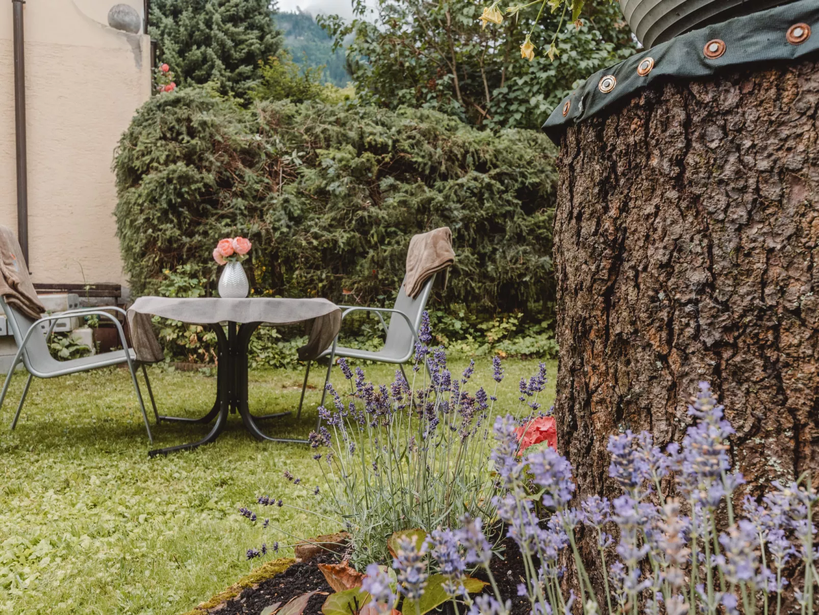 Ferienappartment Brandner-Outside