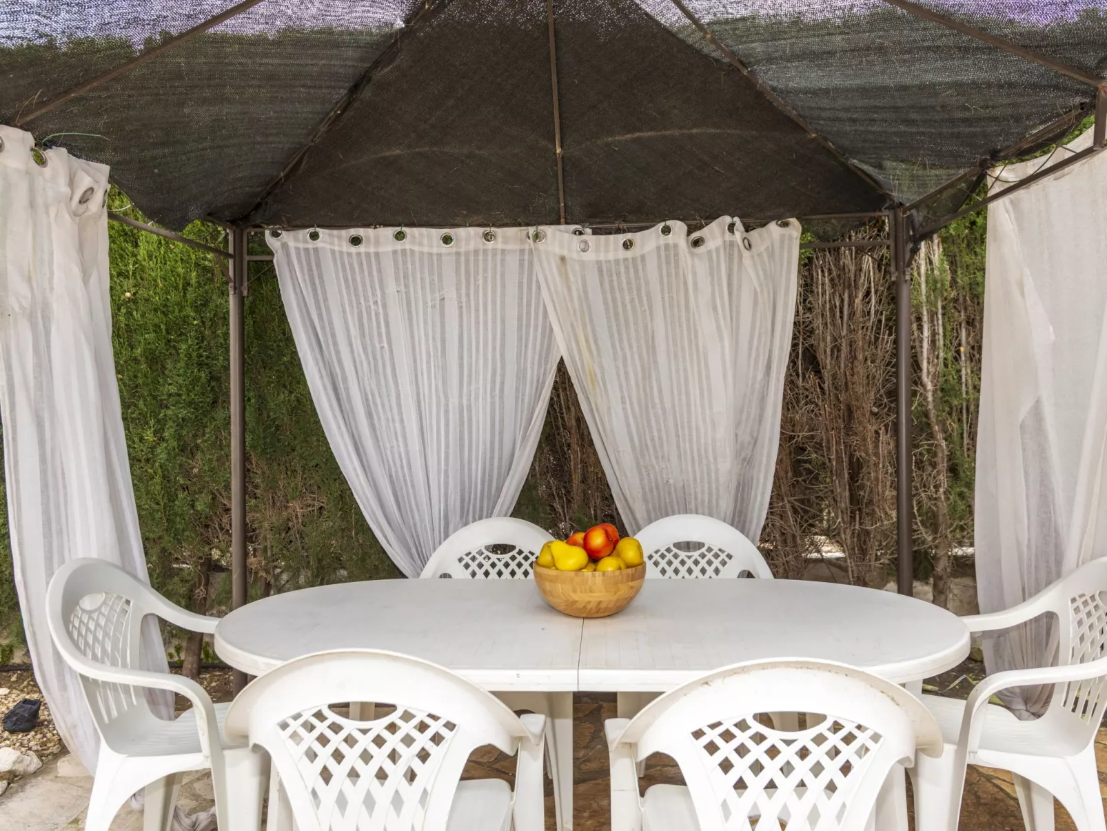 Villa Palmera IV-Outside