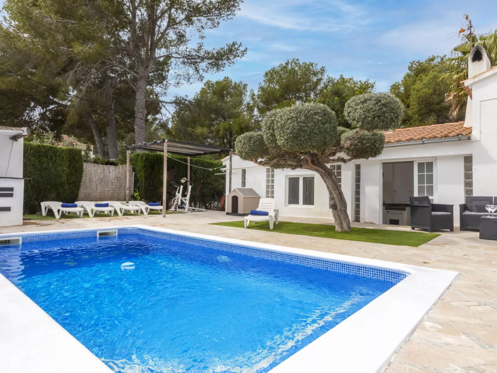 Villa Palmera IV-Outside
