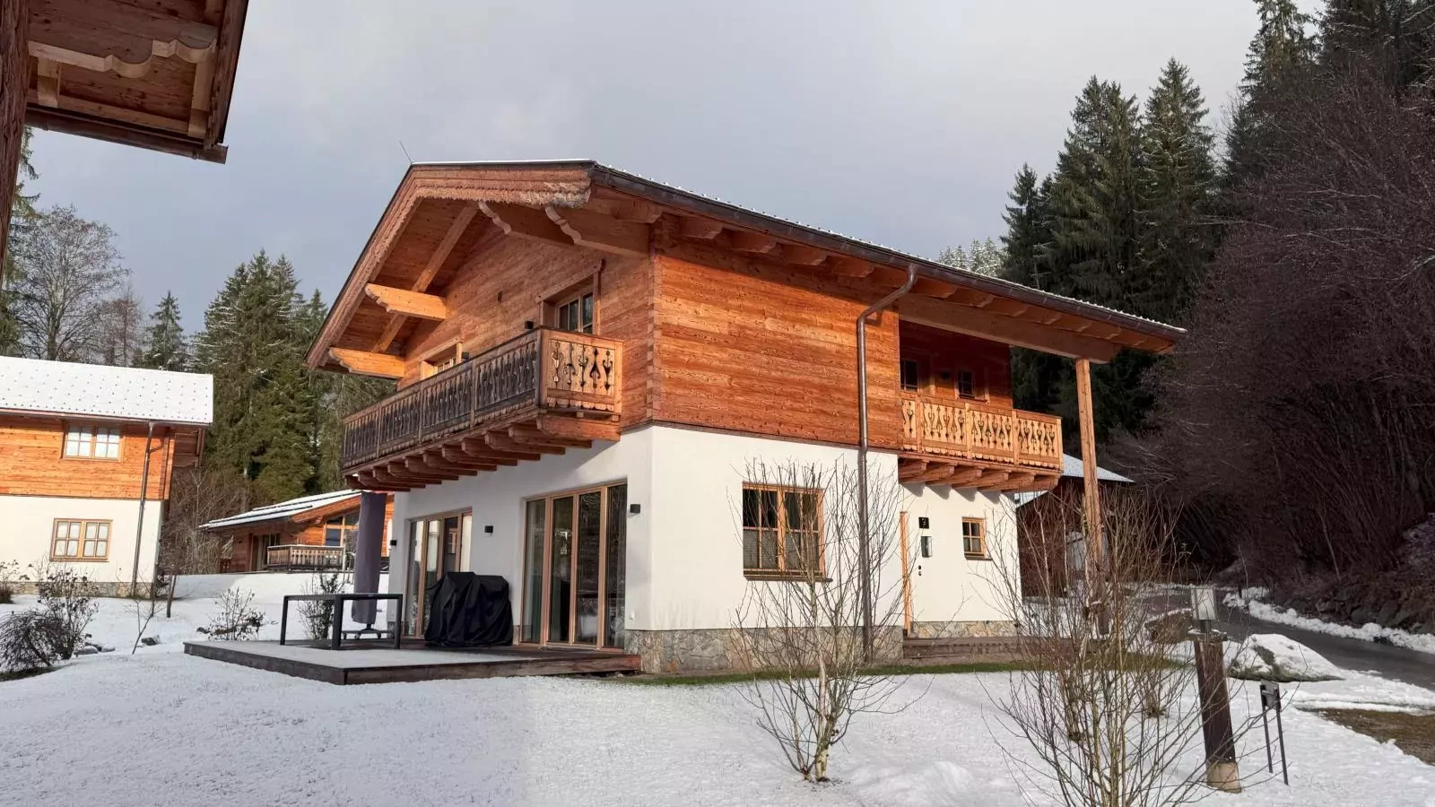 Villa Gradenbach-Exterior winter