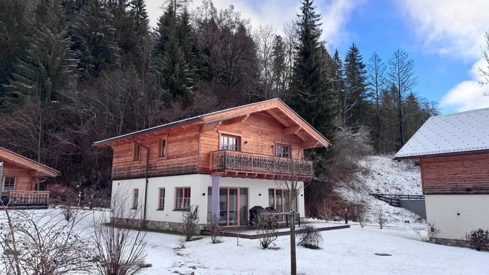Villa Gradenbach-Exterior winter