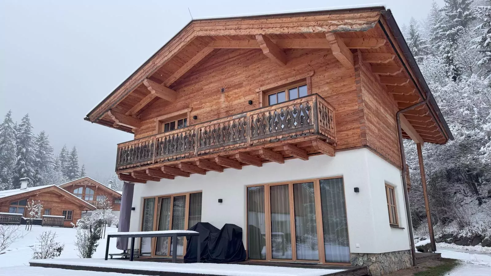 Villa Gradenbach-Exterior winter