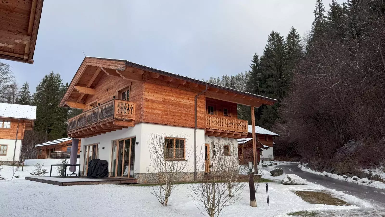 Villa Gradenbach-Exterior winter