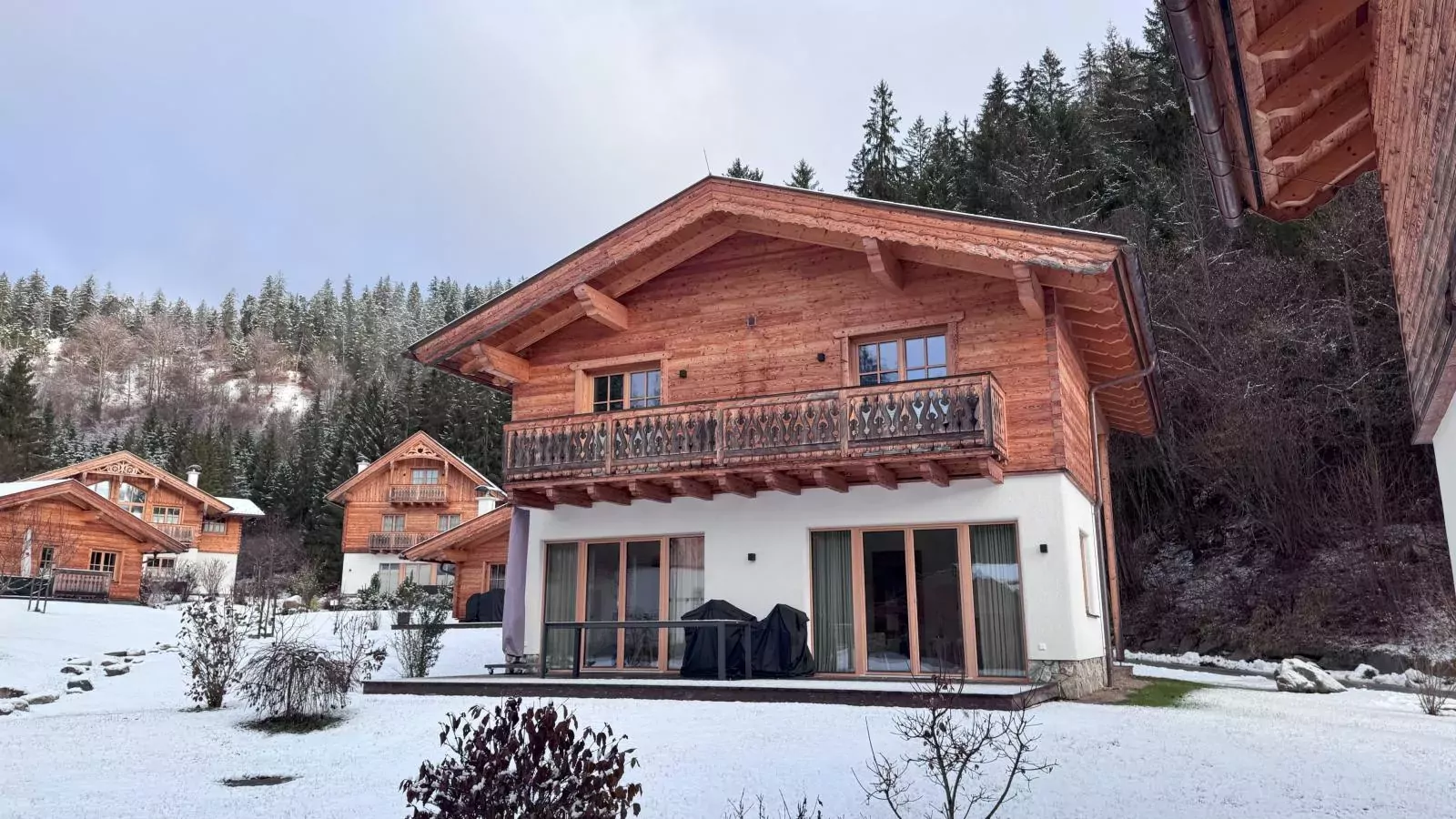 Villa Gradenbach-Exterior winter