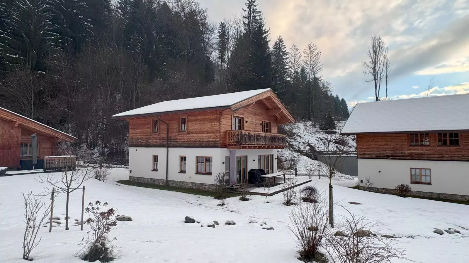 Villa Gradenbach-Exterior winter