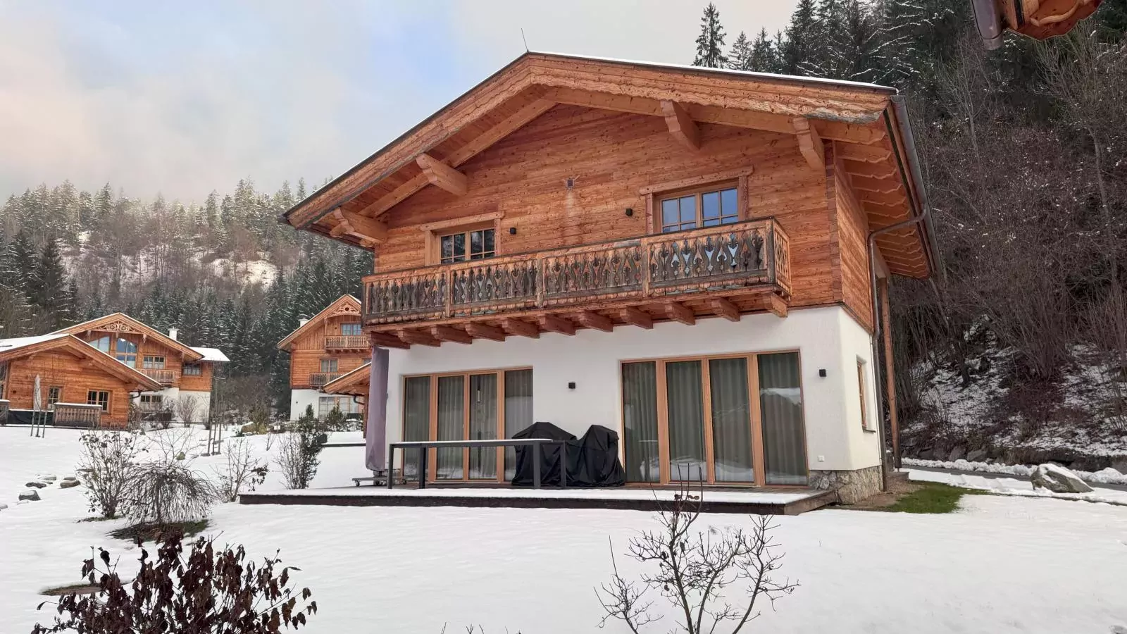 Villa Gradenbach-Exterior winter
