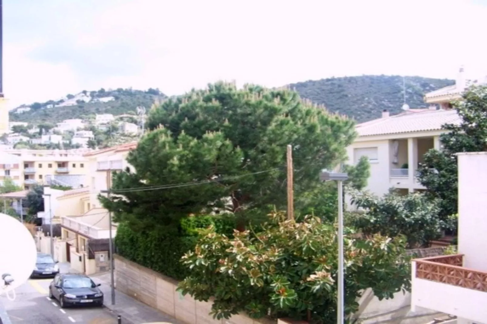 PROA 1 4 Roses-View summer