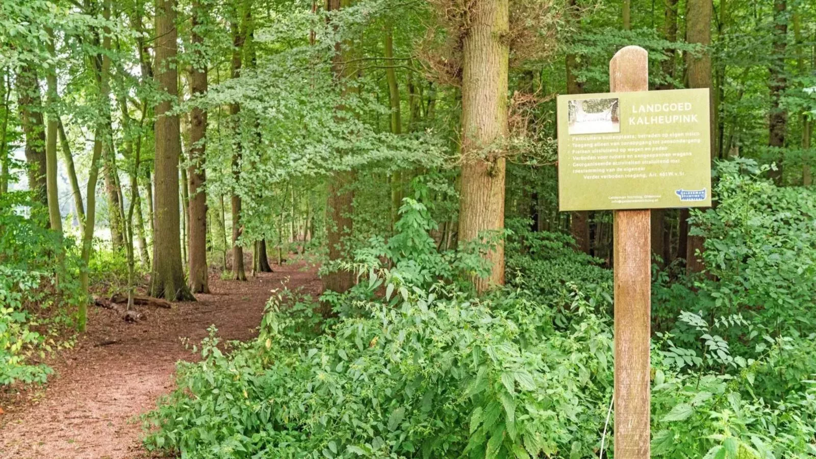Wellnesshuisje Kalheupink-Areas summer 1km