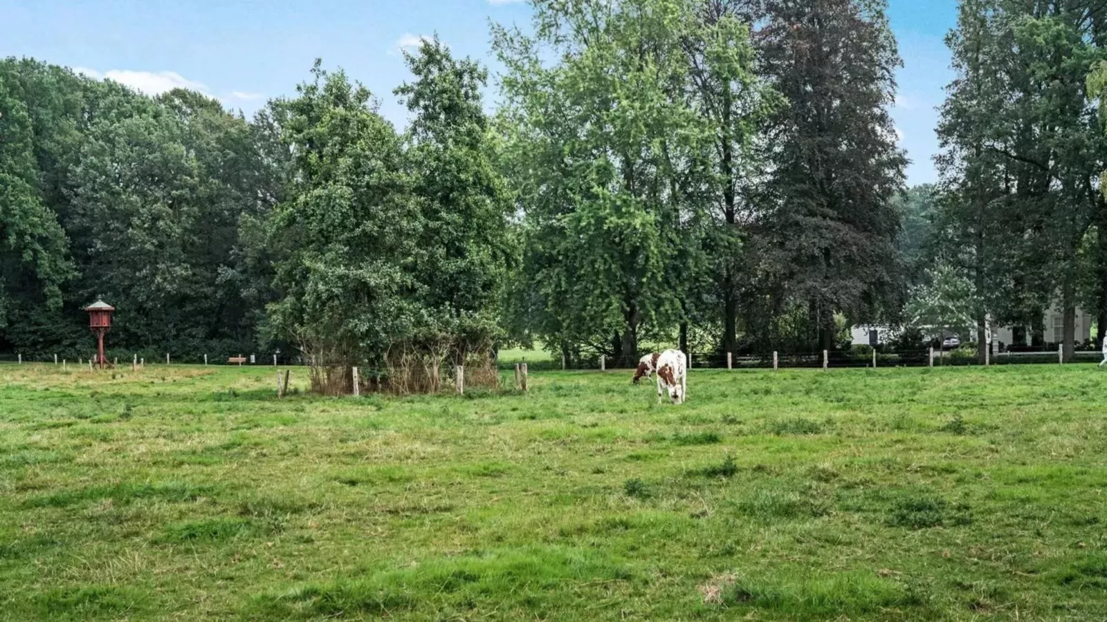 Wellnesshuisje Kalheupink-Areas summer 1km