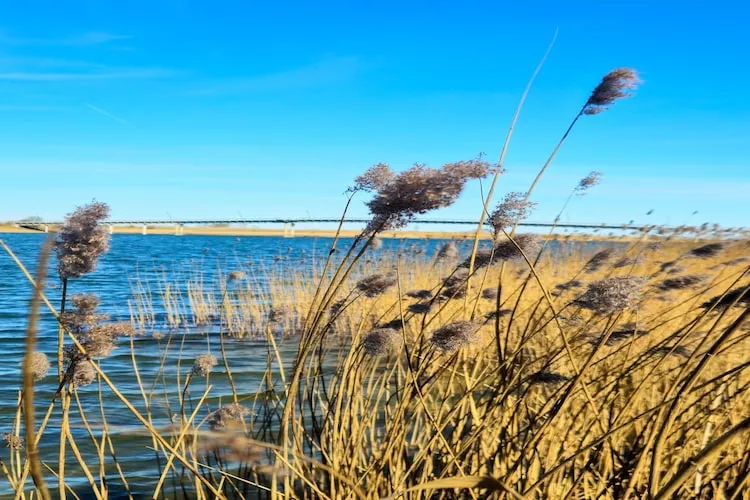 4-Bett-Appartement-Water view