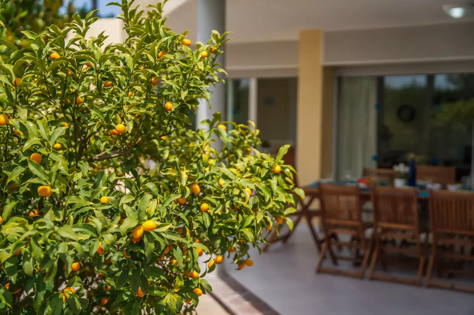 Villa Anna-Terrasse