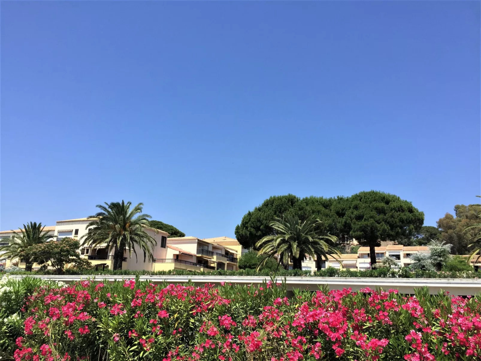 Les Jardins d'Ys-Outside