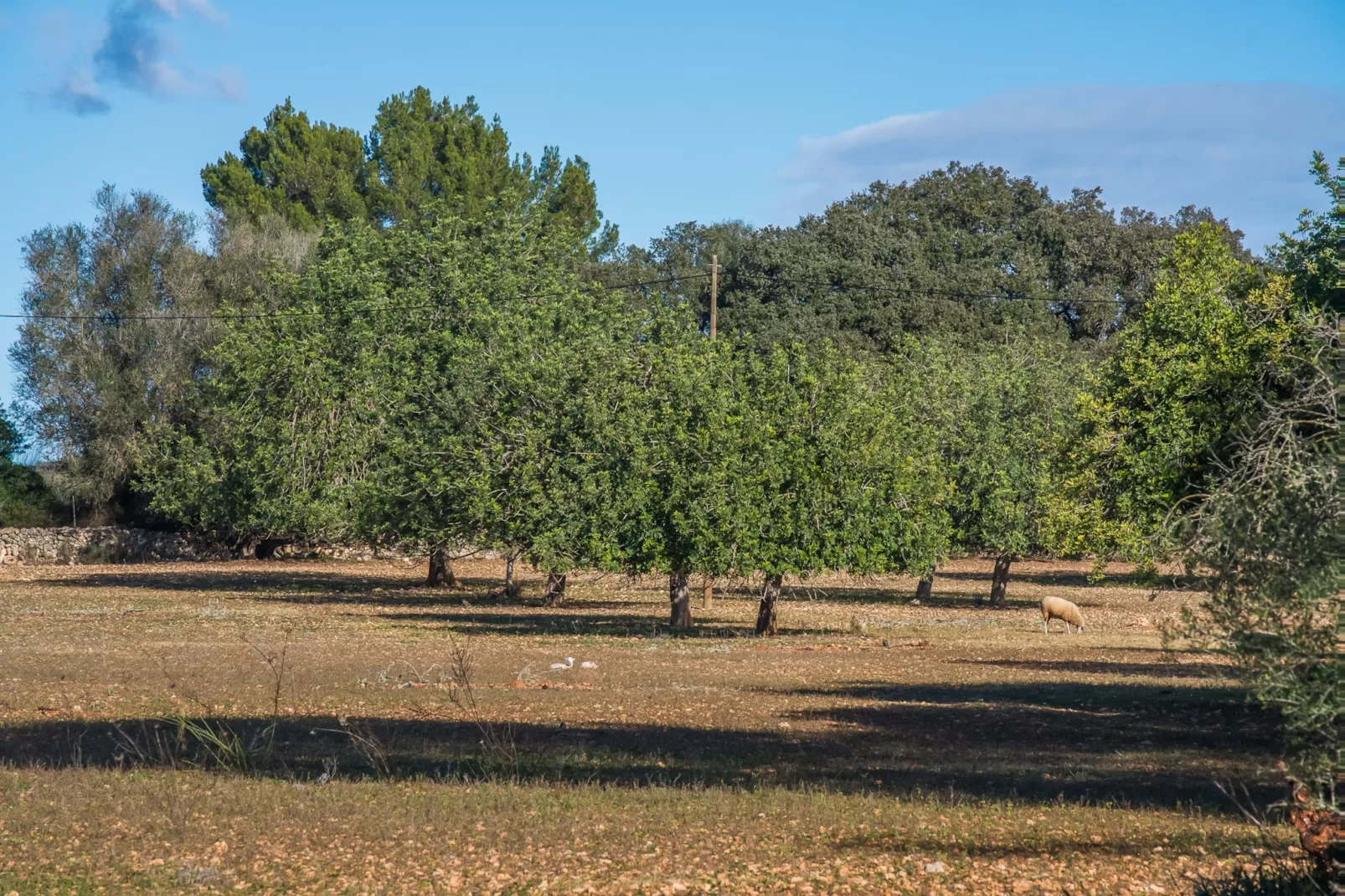 Villa Laiar-Outdoor