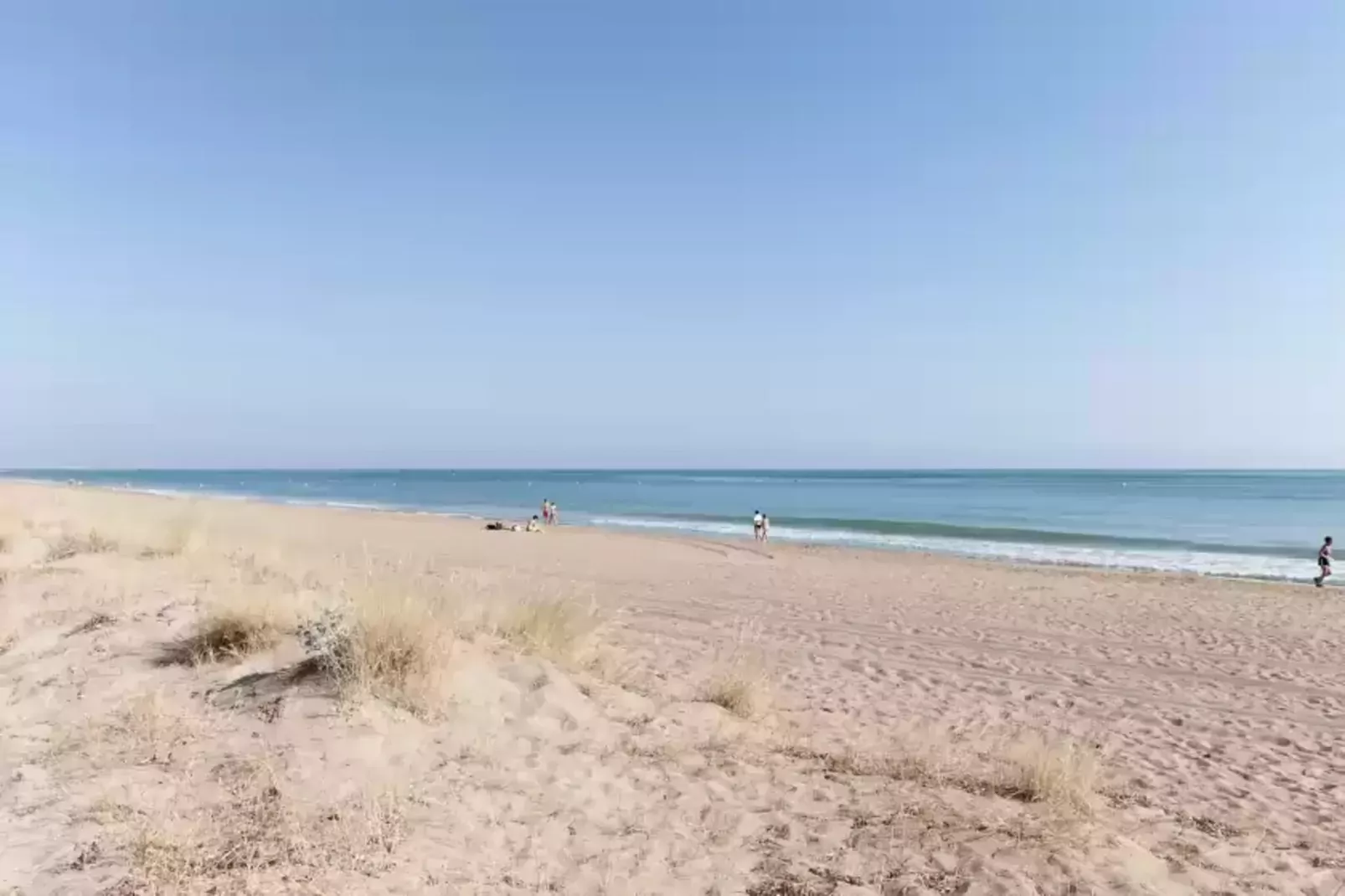 Camelot-Areas summer 1km