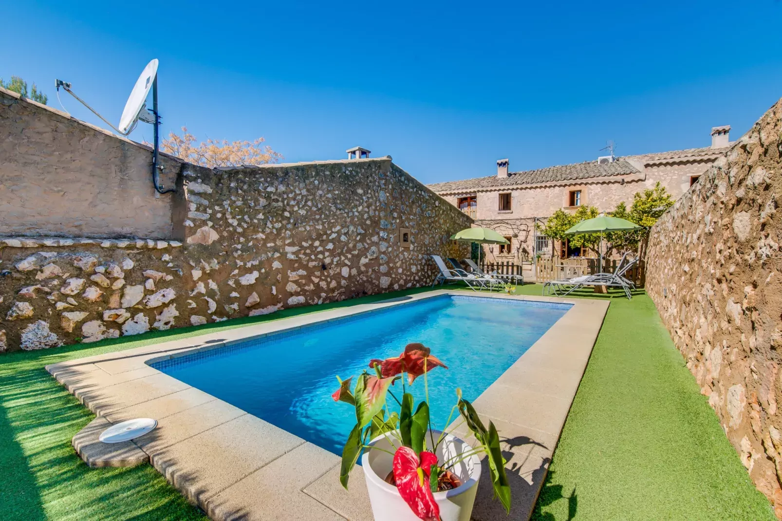 Finca Can Maria Costitx-Pool